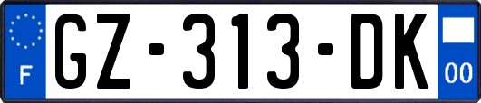 GZ-313-DK