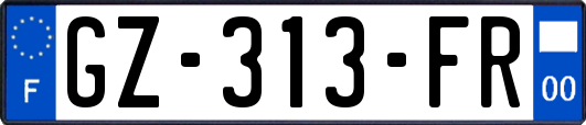 GZ-313-FR