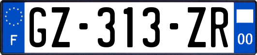 GZ-313-ZR