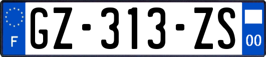 GZ-313-ZS