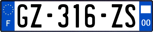 GZ-316-ZS
