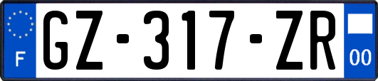 GZ-317-ZR