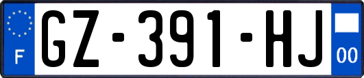 GZ-391-HJ