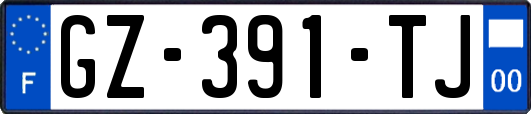 GZ-391-TJ