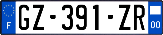 GZ-391-ZR