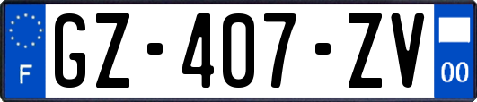 GZ-407-ZV