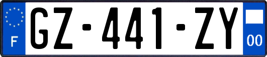 GZ-441-ZY