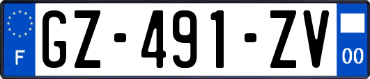 GZ-491-ZV