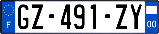 GZ-491-ZY
