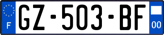 GZ-503-BF