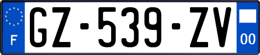 GZ-539-ZV