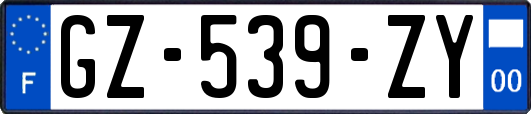 GZ-539-ZY