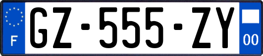GZ-555-ZY
