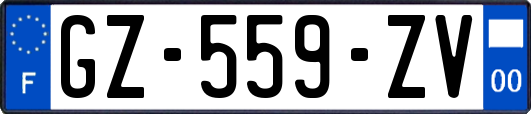 GZ-559-ZV