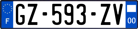 GZ-593-ZV