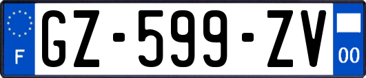 GZ-599-ZV