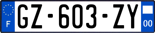 GZ-603-ZY