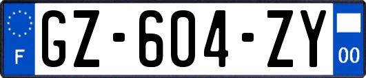 GZ-604-ZY