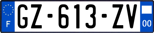 GZ-613-ZV