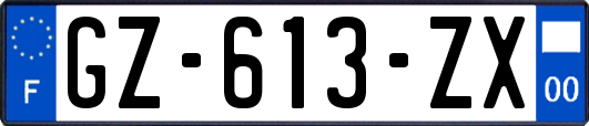GZ-613-ZX