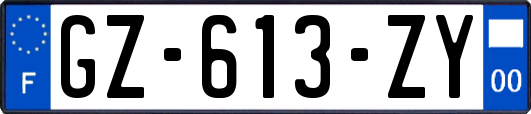 GZ-613-ZY