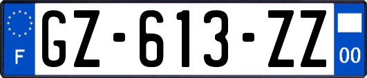 GZ-613-ZZ