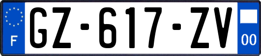 GZ-617-ZV