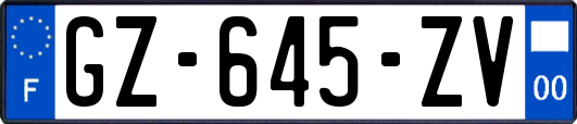 GZ-645-ZV