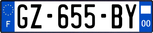 GZ-655-BY