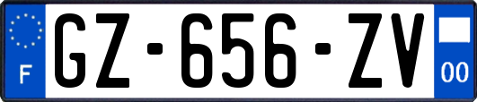 GZ-656-ZV
