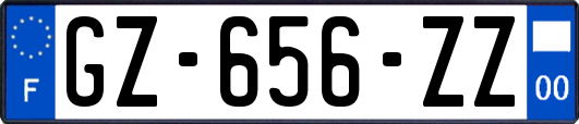 GZ-656-ZZ