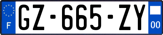 GZ-665-ZY