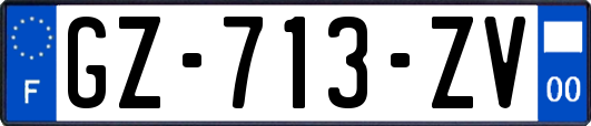 GZ-713-ZV