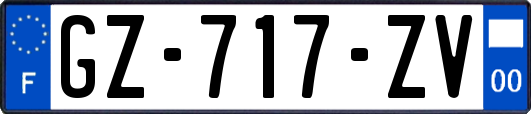 GZ-717-ZV