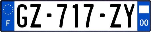 GZ-717-ZY