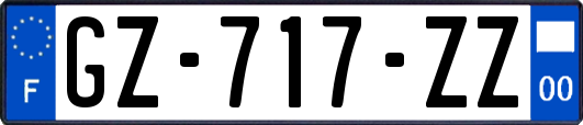 GZ-717-ZZ