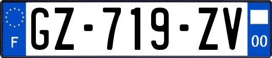 GZ-719-ZV