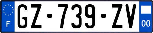 GZ-739-ZV