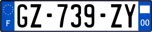 GZ-739-ZY