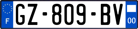 GZ-809-BV