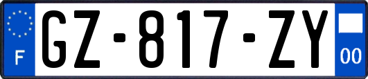 GZ-817-ZY
