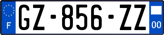GZ-856-ZZ