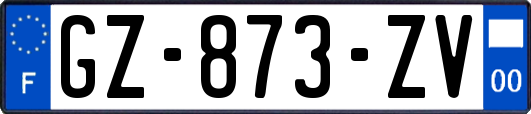 GZ-873-ZV