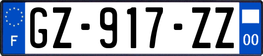 GZ-917-ZZ