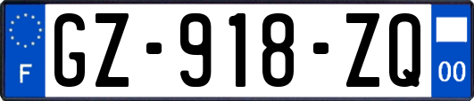 GZ-918-ZQ