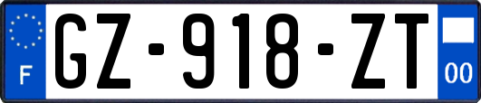 GZ-918-ZT