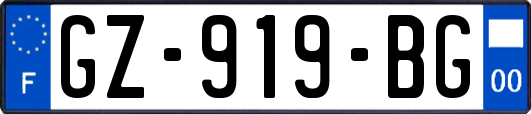 GZ-919-BG