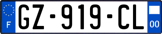 GZ-919-CL