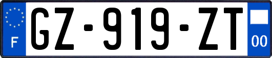 GZ-919-ZT