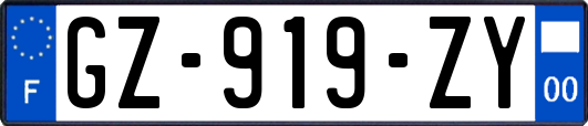GZ-919-ZY